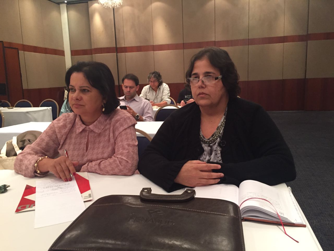 Rosangela Alencar reuniao Fenajud