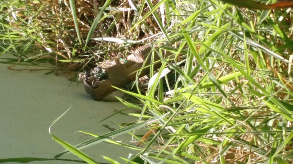 artefato-forum-cidade-ocidental-